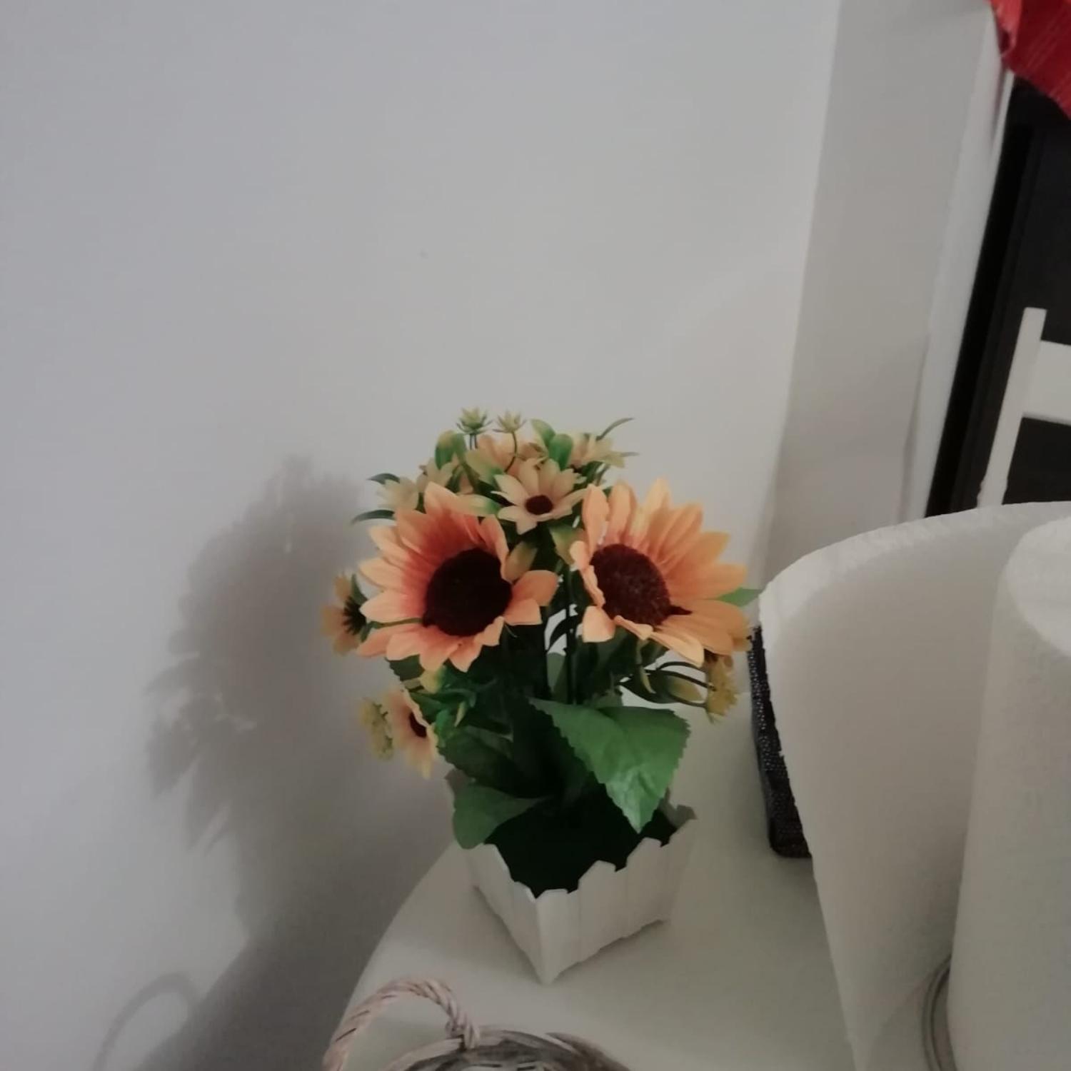 בולוניה Affection Apartment מראה חיצוני תמונה